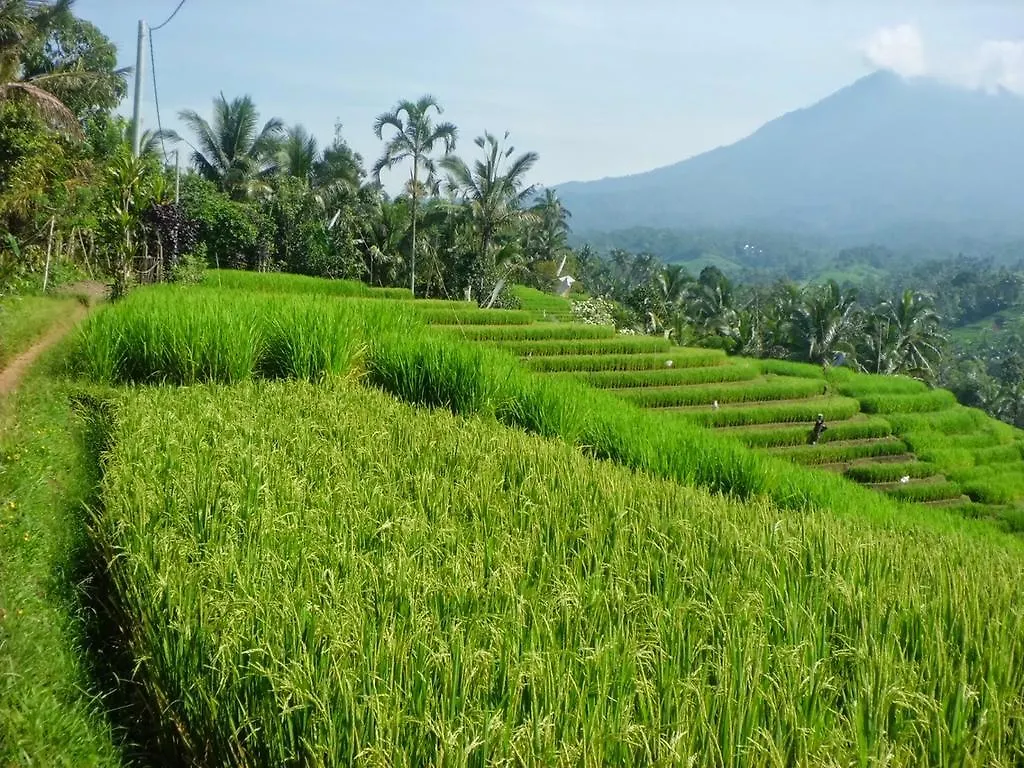 Szálloda Zen Rooms Gunung Soputan Denpasar